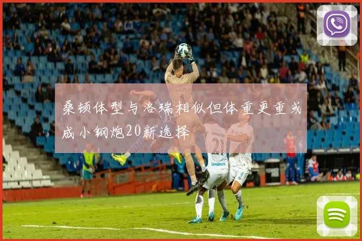 桑顿体型与洛瑞相似但体重更重或成小钢炮20新选择